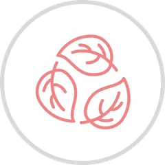 Natural ingredients icon badge